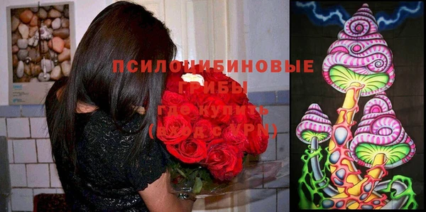 прущая мука Баксан
