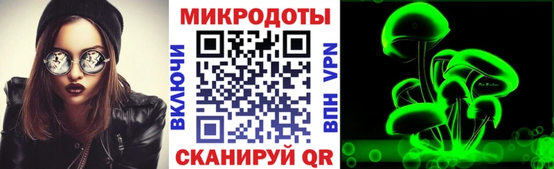 купить наркотики сайты  Гагарин  Псилоцибиновые грибы мицелий 